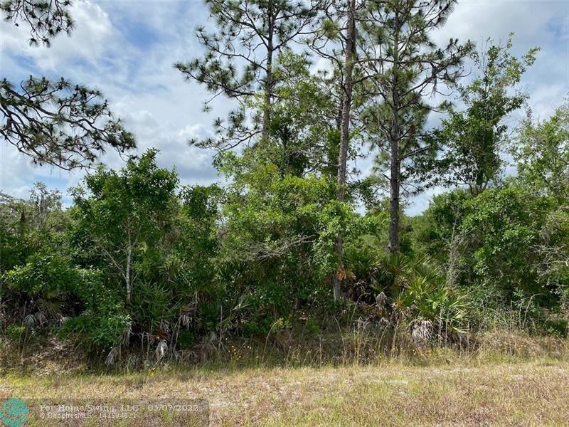 Photo of Lot 21 Silver Palm Dr in Other City - In The State Of Florid, FL