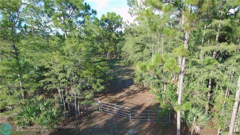 Photo of 3586 Cabbage Palm Wy in Loxahatchee, FL