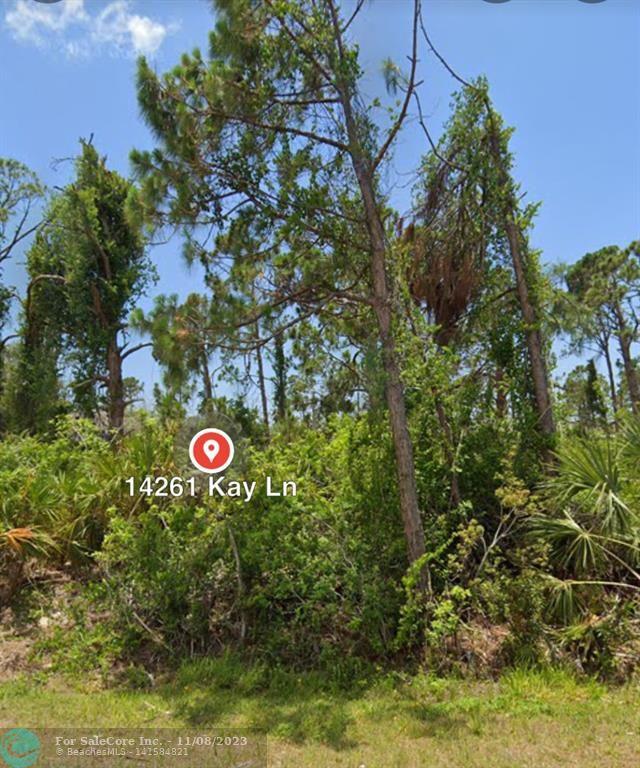 Photo of 14261 Kay Ln in Other City - In The State Of Florid, FL