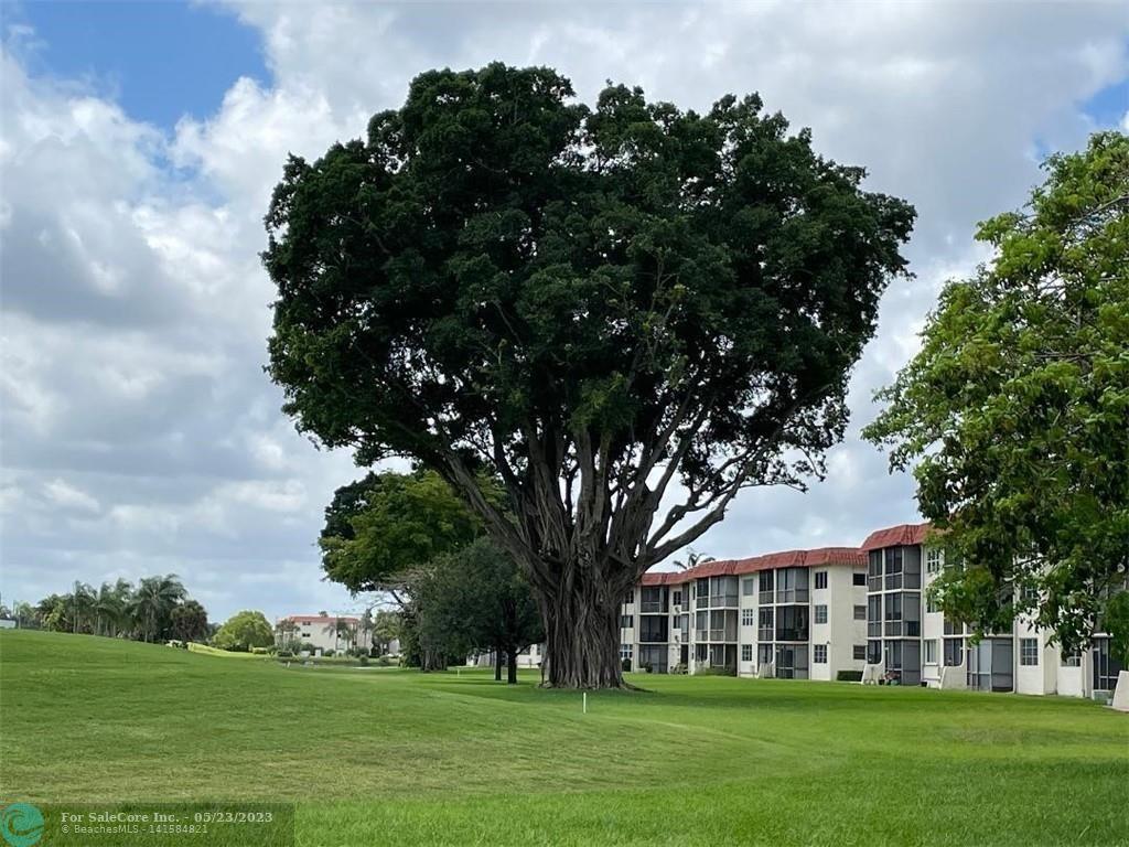 Photo of 9200 N Hollybrook Lake Dr #307 in Pembroke Pines, FL