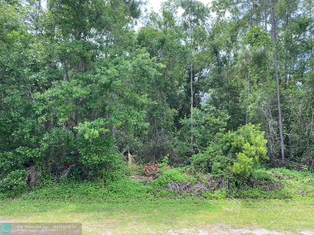 Photo of Lot 5 Allamanda Dr in Other City - In The State Of Florid, FL