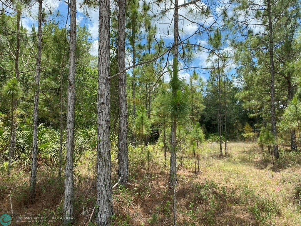 Photo of Lot 17 Orchid Dr in Other City - In The State Of Florid, FL