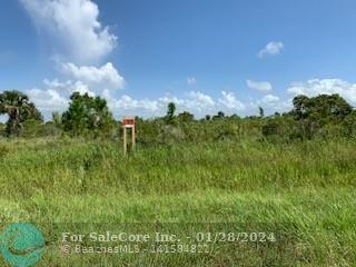 Photo of 18031 NW 318 St in Okeechobee, FL