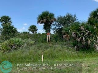Photo of 14723 Nw 282nd in Okeechobee, FL