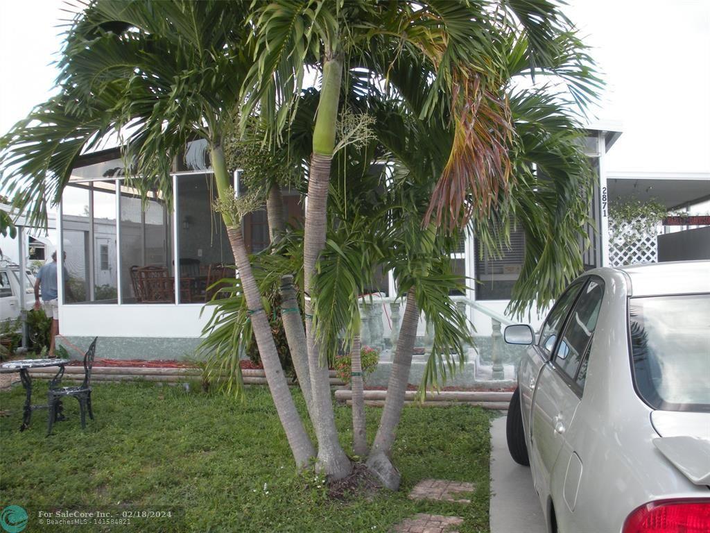 Photo of 2871 SW 58th Mnr in Fort Lauderdale, FL