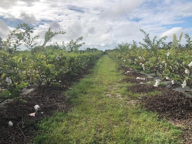 Photo of SW 386 St (Approx) SW 199 Ave in Florida City, FL
