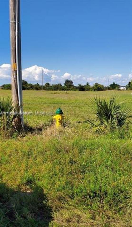 Photo of 1205 Ceitus Tr in Cape Coral, FL