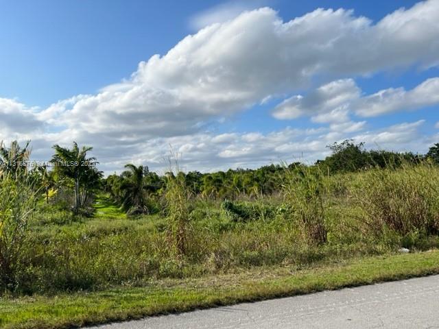 Photo of 286 SW 112 Ave & 286 St in Unincorporated Dade County, FL