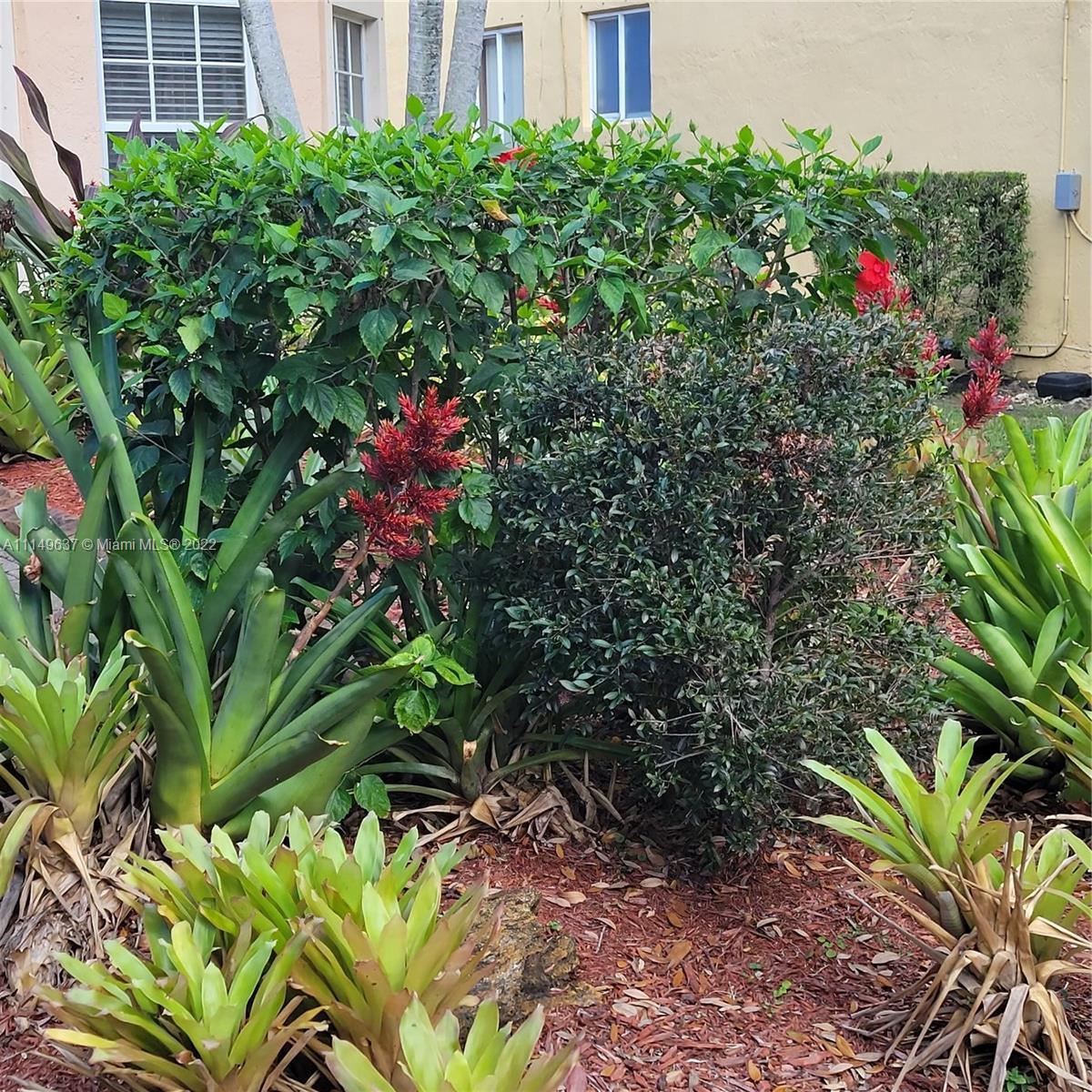 Photo of Address Not Disclosed in Miramar, FL