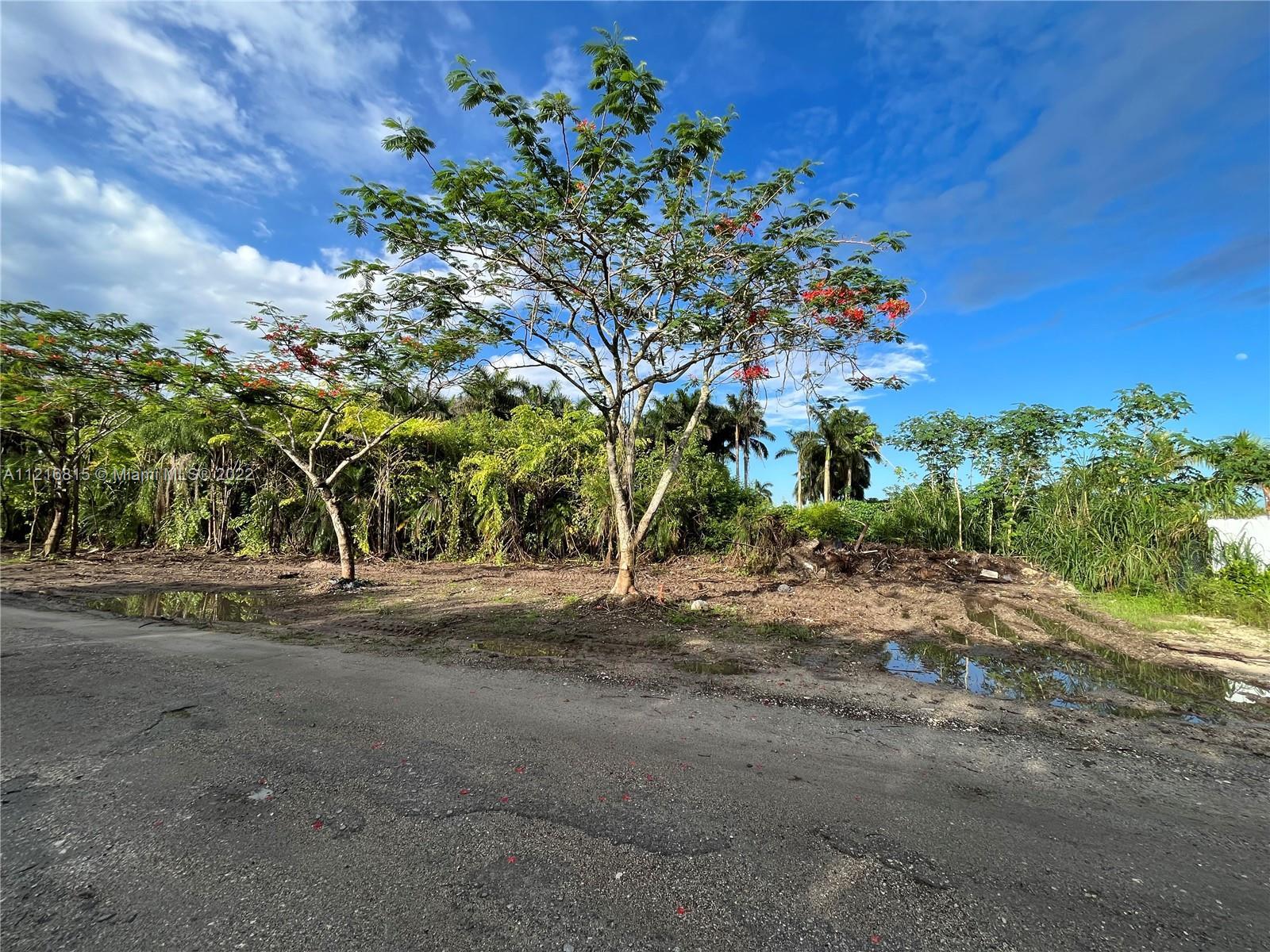 Photo of 15705 SW 212 Ave in Miami, FL
