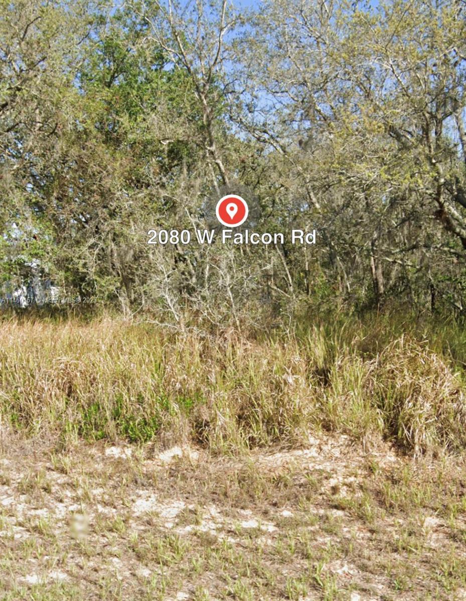 Photo of 2080 W Falcon Rd in Other City - In The State Of Florid, FL