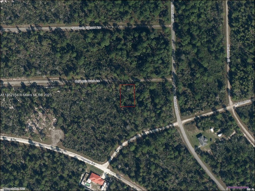 Photo of 3204 Harlequin Duck Ave in Lake Placid, FL