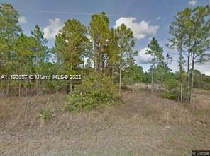 Photo of 203 N Horseclub Ave in Clewiston, FL