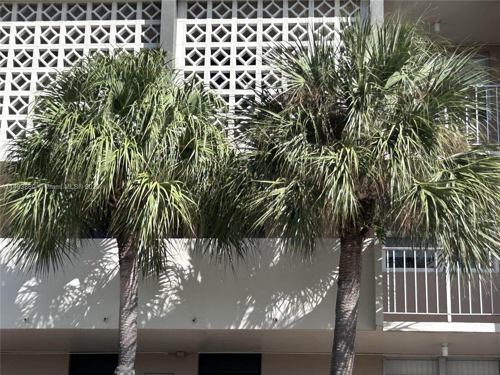 Photo of 3051 NW 46th Ave #310 in Lauderdale Lakes, FL