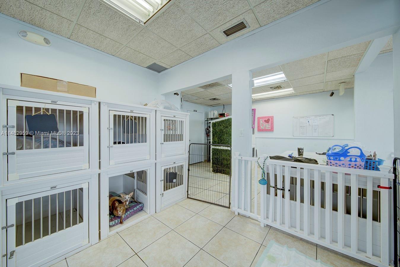Photo of Dog Grooming Business For Sale In Miami! in Miami, FL