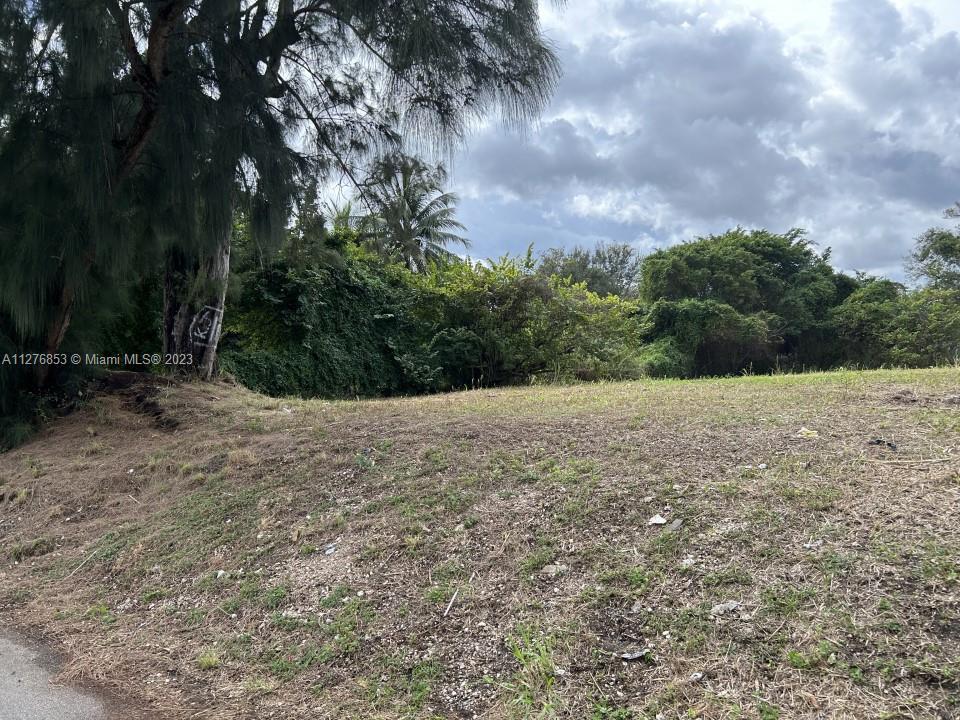 Photo of 0 SW 124th P in Goulds, FL