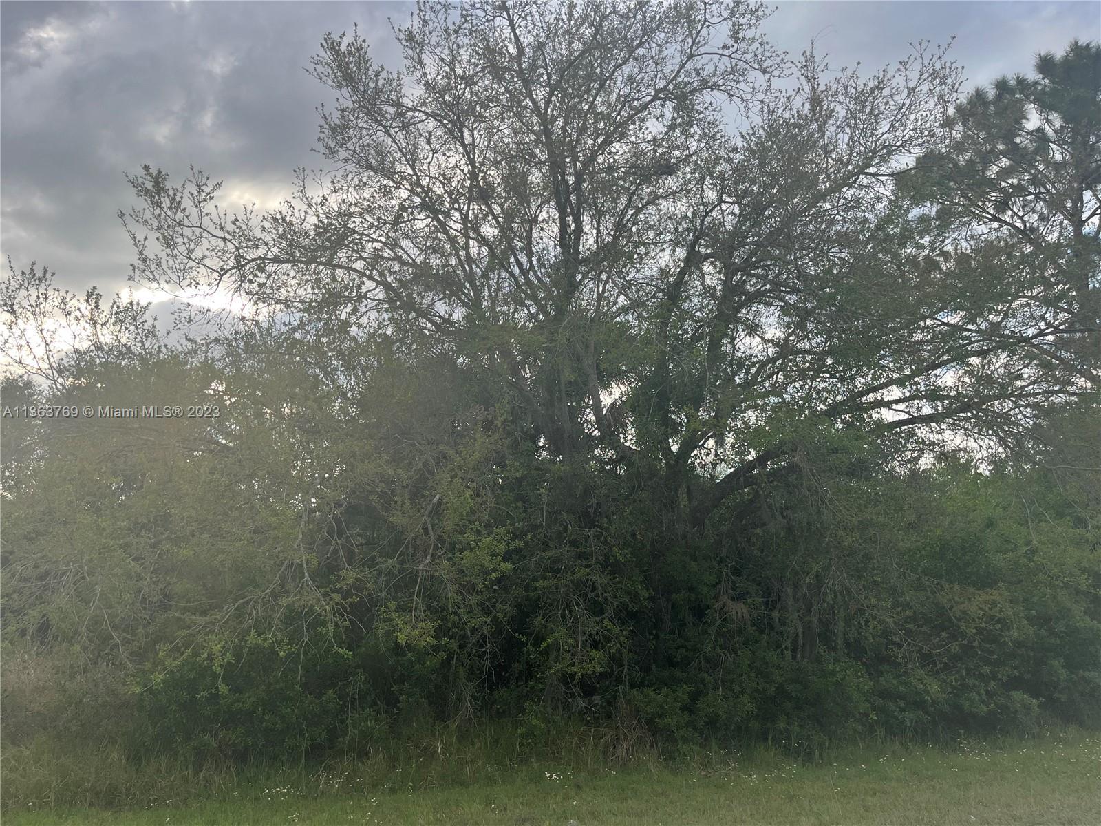 Photo of 120 S Granja St in Clewiston, FL