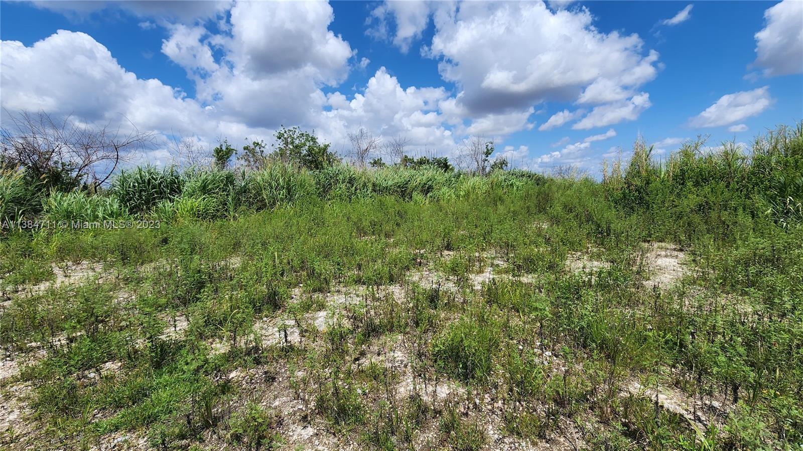 Photo of W223FT Of S32980FT in Unincorporated Dade County, FL