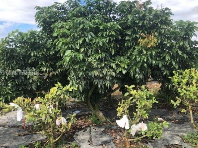 Photo of SW 386 St (Approx) SW 199 Ave in Florida City, FL