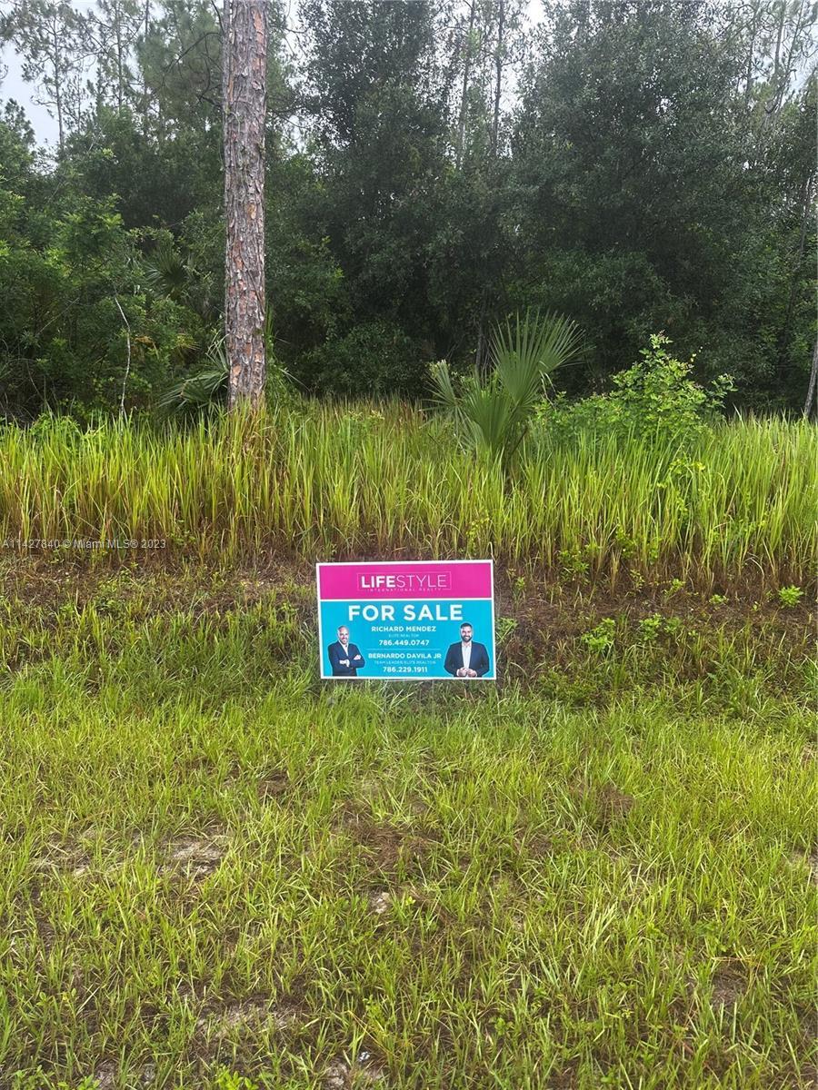 Photo of 12 Ne Desoto in Naples, FL