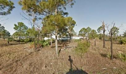 Photo of 2970 SE Flagstaff Ave in Palm Bay, FL