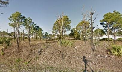 Photo of 2990 SE Flagstaff Ave in Palm Bay, FL
