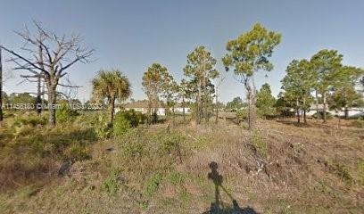Photo of 2998 SE Flagstaff Ave in Palm Bay, FL