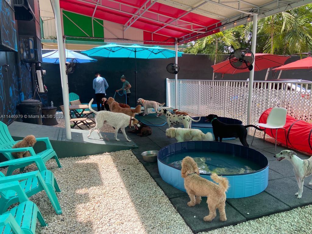 Photo of Center For Dog Services in Miami, FL