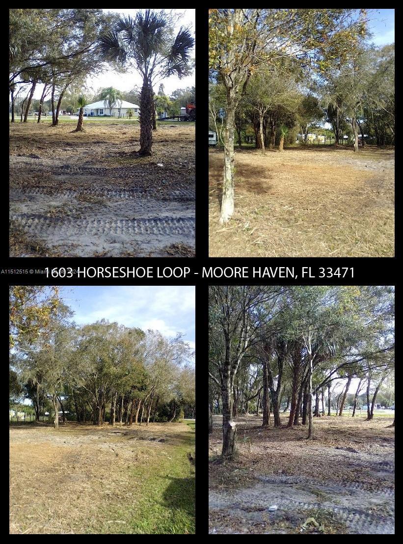 Photo of 1603 Horseshoe Loop in Moore Haven, FL