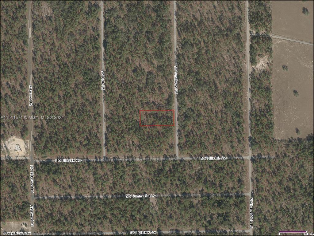 Photo of Lot 16 NW Smallwood Rd in Other City - In The State Of Florid, FL