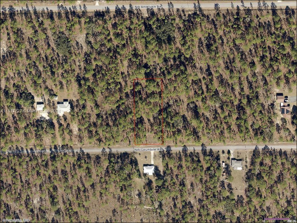 Photo of Lot 24 NW Columbine Ave in Other City - In The State Of Florid, FL