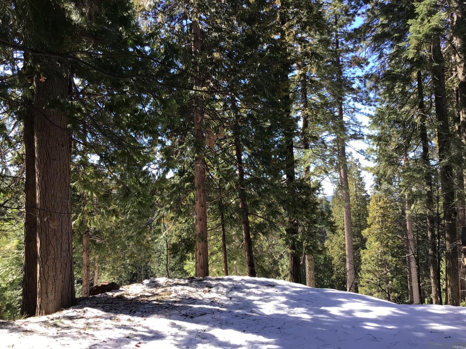 Photo of 1526 Seminole in Arnold, CA