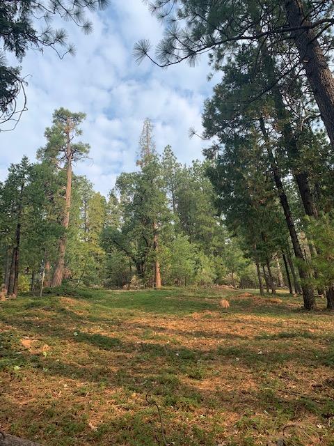 Photo of 2228 Grace Ct in Arnold, CA