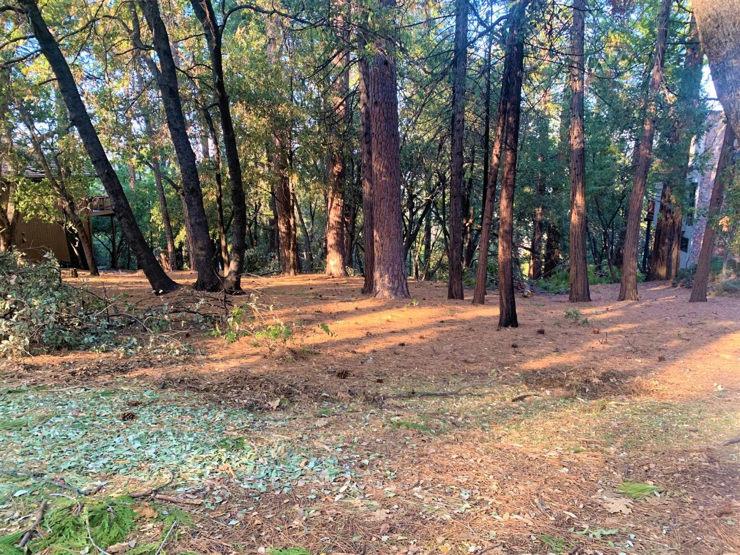 Photo of 783 Larkspur Lane Ln in Murphys, CA