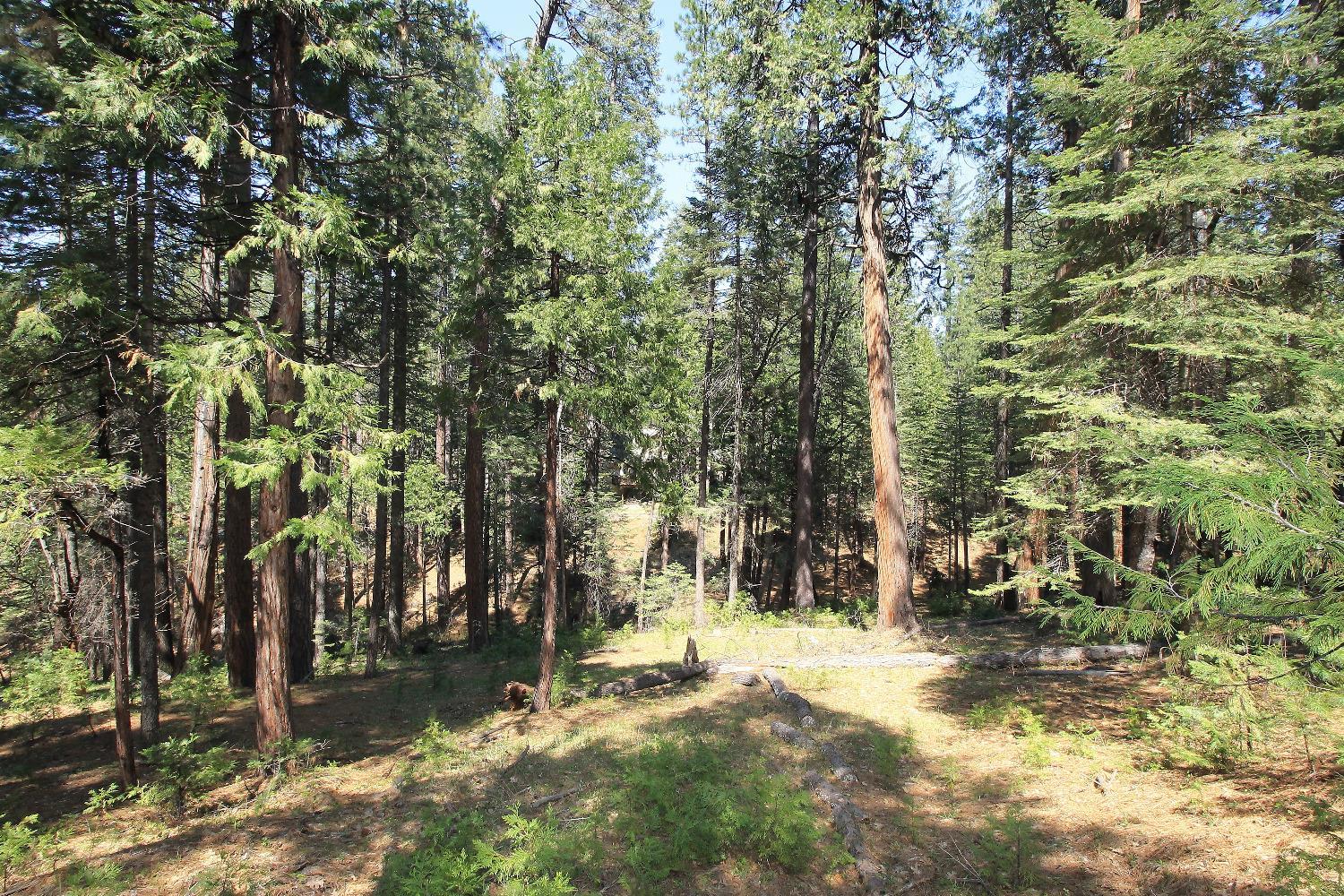 Photo of 2438 Innsbruk Dr in Arnold, CA