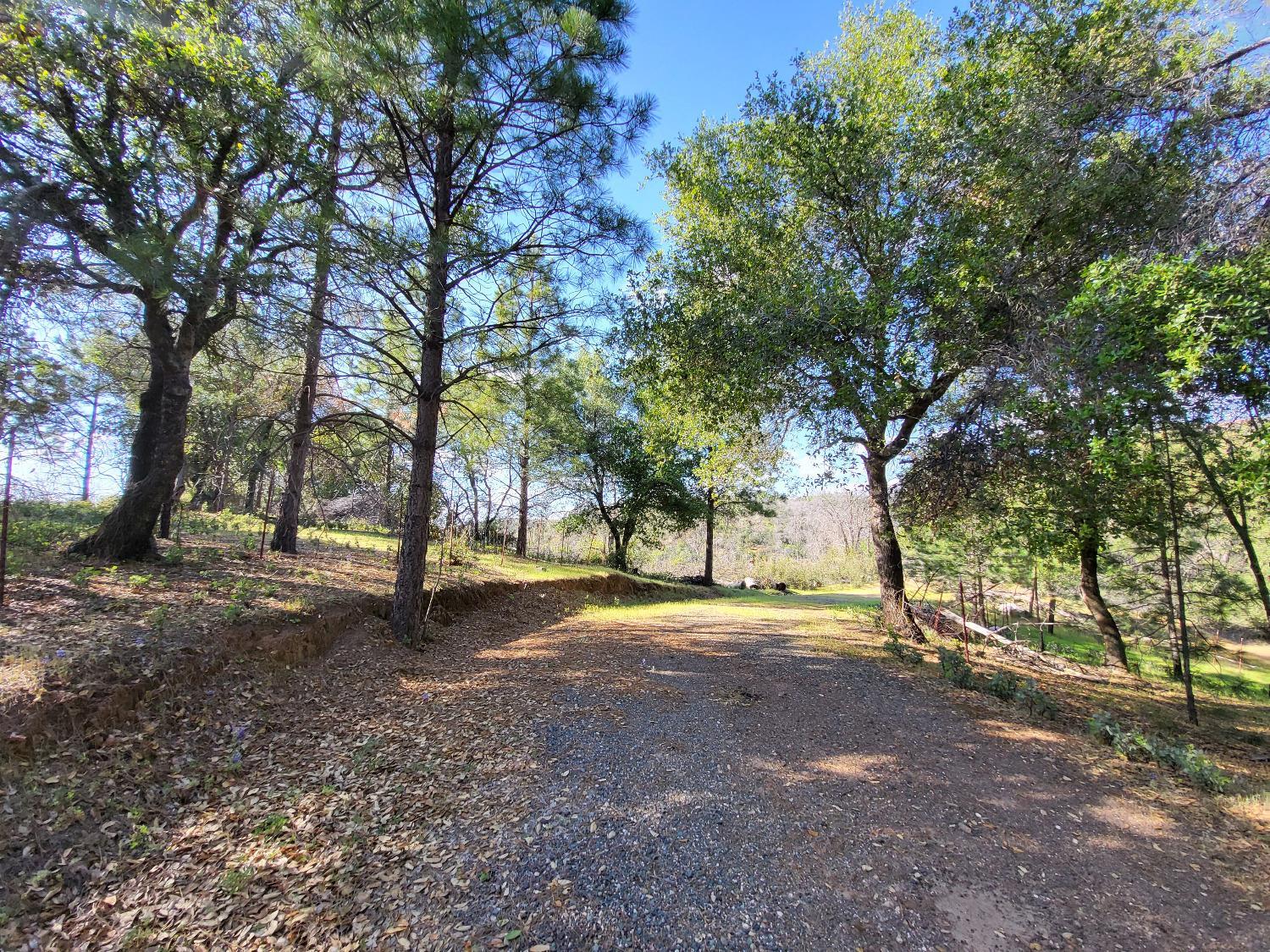 Photo of 9055 Rodesino Rd in Mountain Ranch, CA