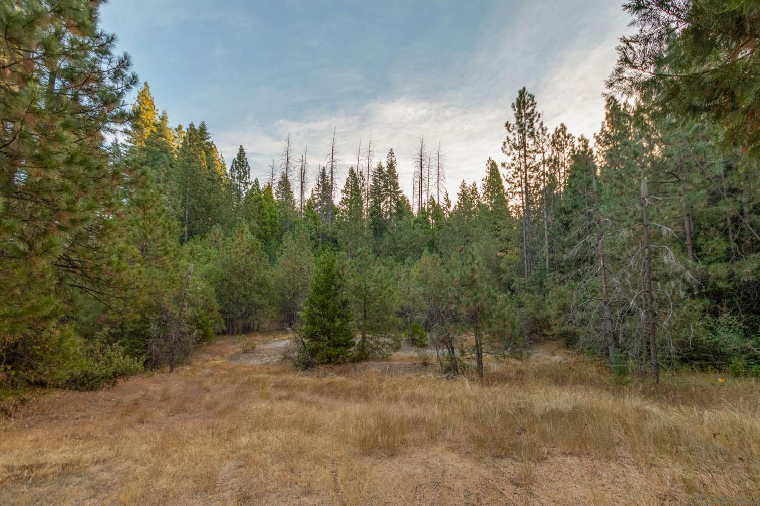 Photo of 1421 Highway 4 Hwy in Arnold, CA