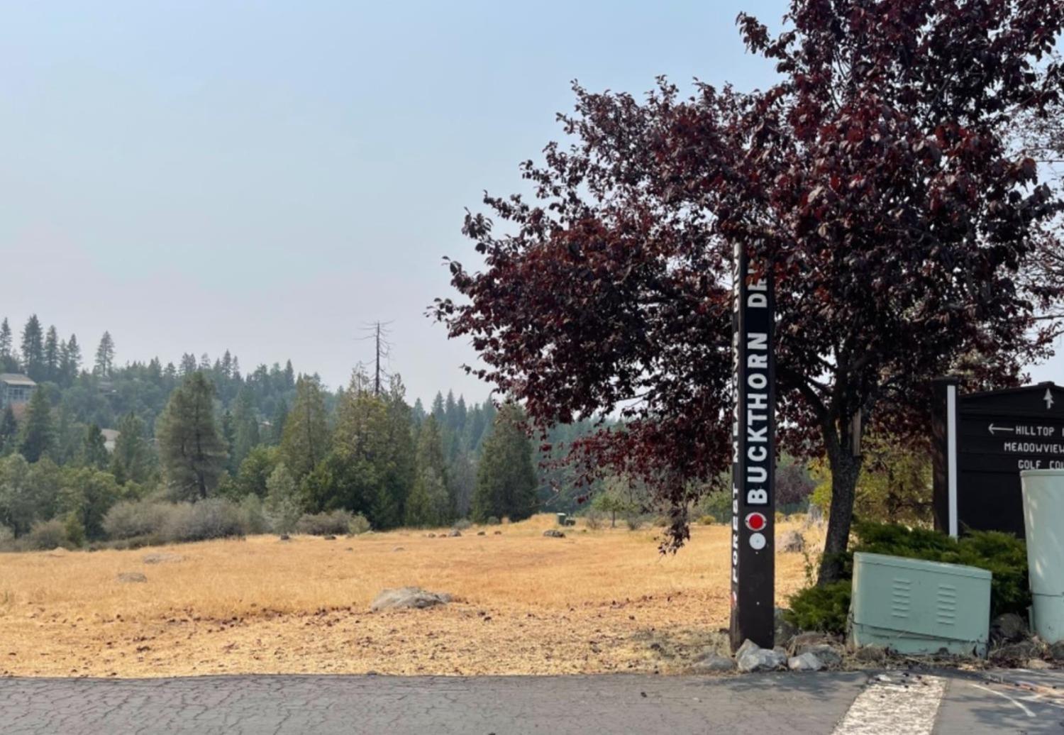 Photo of 386 Buckthorn Dr in Murphys, CA
