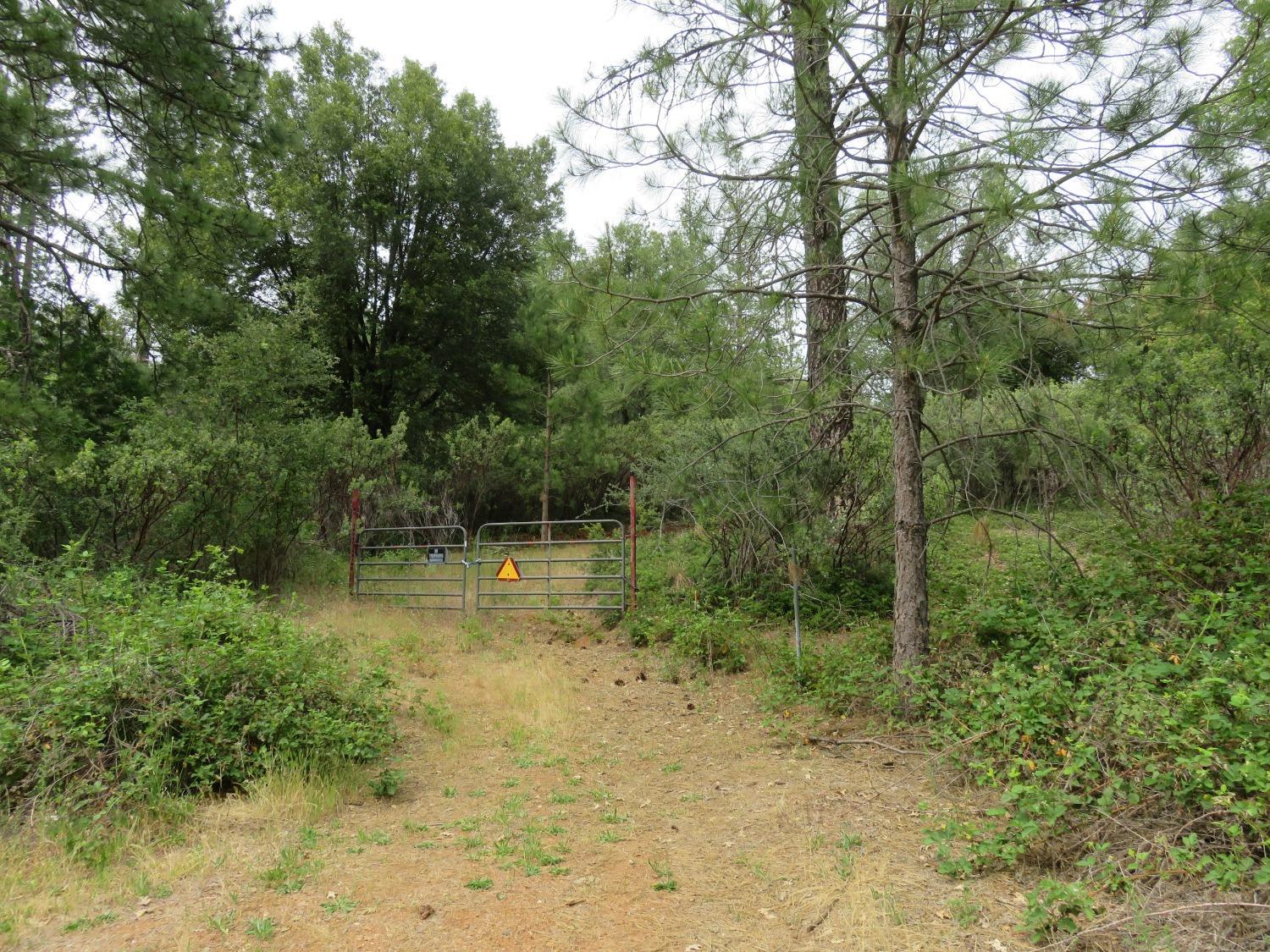 Photo of 586 Wolverine Mine Rd in Glencoe, CA