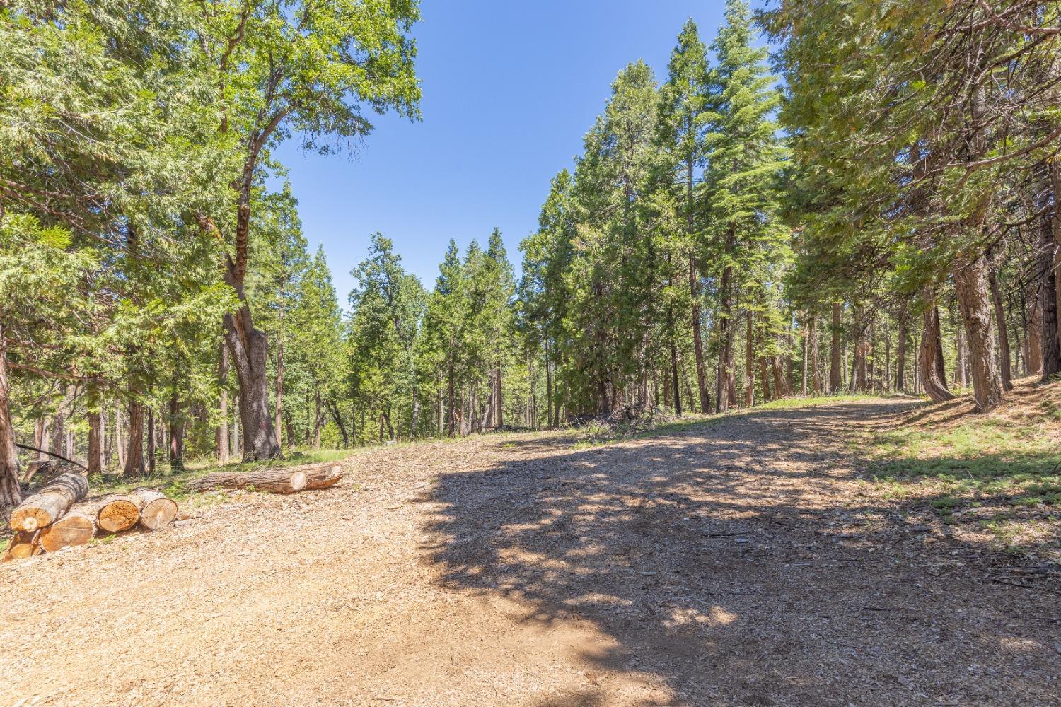 Photo of 0 Grizzly Wy in Arnold, CA