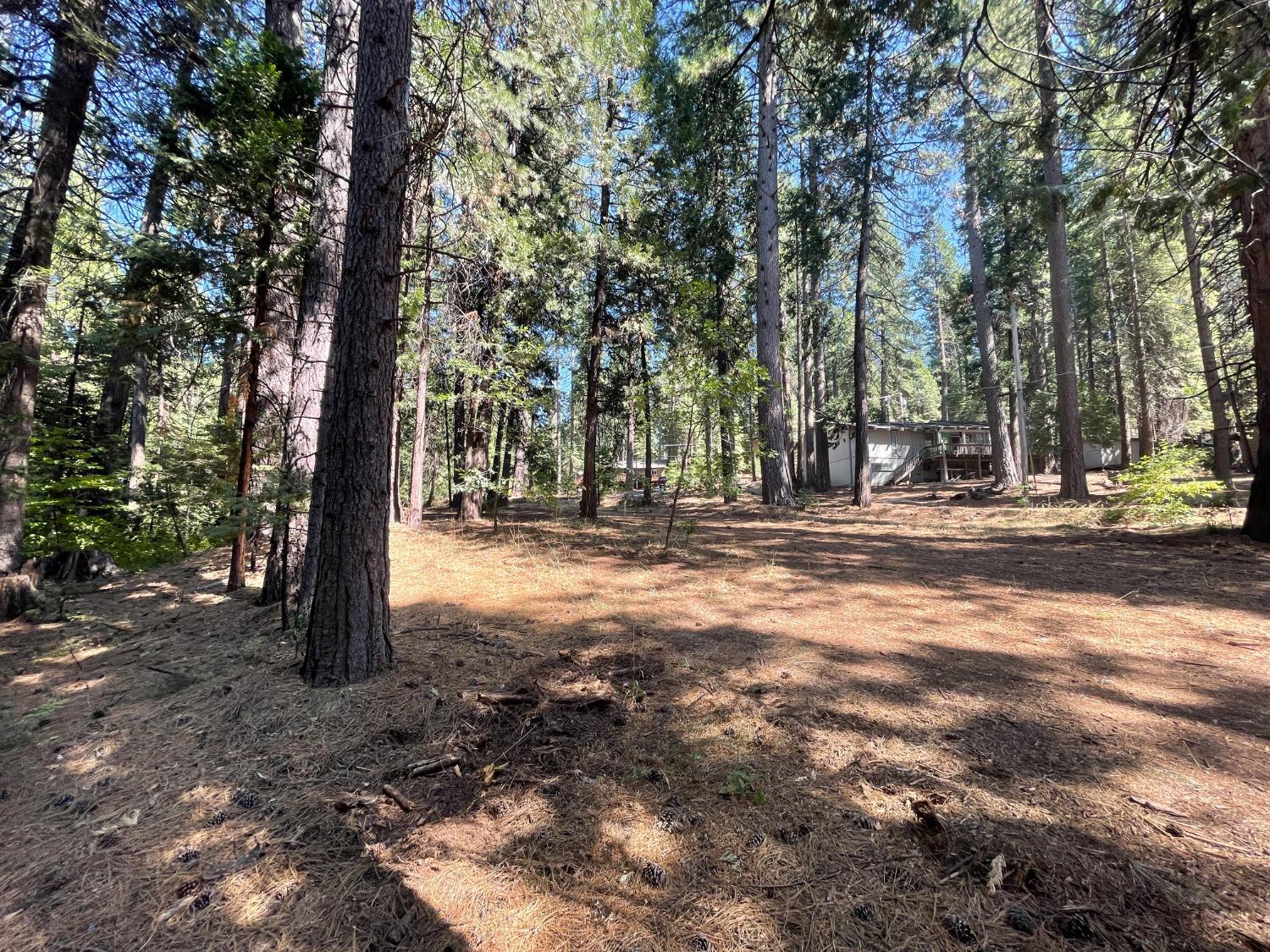 Photo of 2042 Meadowview Rd in Arnold, CA