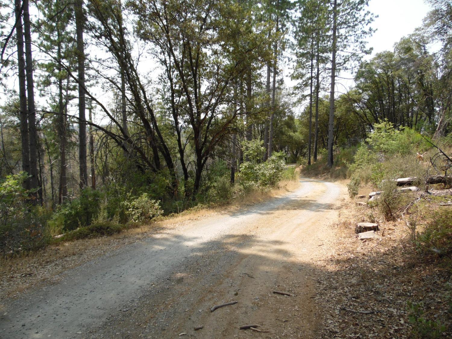 Photo of 1120 Cedar Ridge Rd in Railroad Flat, CA
