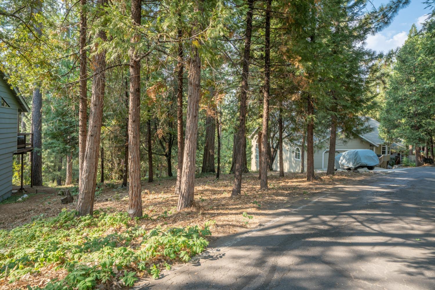 Photo of 51 Canterwood Ln in Murphys, CA