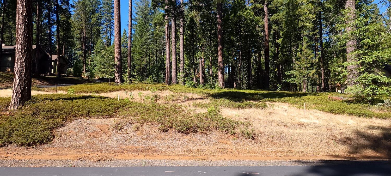Photo of 0 Vireo Wy in Arnold, CA