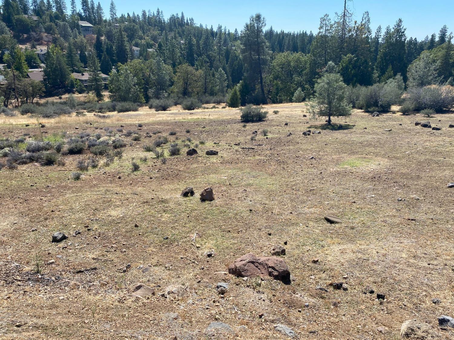 Photo of 410 Buckthorn Dr in Murphys, CA