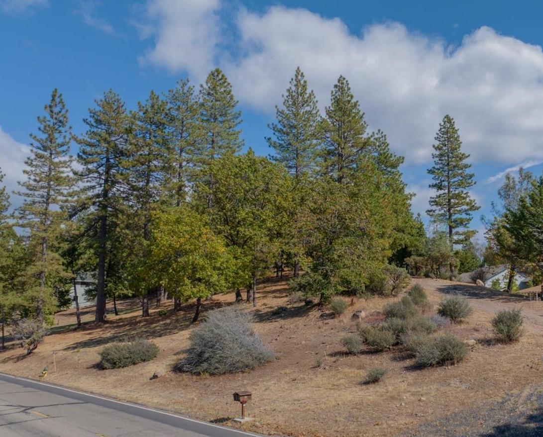 This beautiful oversized .39 acre lot is located in the gated community of Forest Meadows. Close to clubhouse and golf course. And, just minutes from downtown Murphys and wineries (or a short drive to lakes, Calaveras Big Trees State Park or Bear Valley). Community amenities include: security gate/patrols, underground utilities available, common area maintenance, snowplowing of main roads, clubhouse, 2 pools & parks, tennis/pickle-ball/basketball/bocce courts, playgrounds, dog park, walking/hiking trails...and so much more.