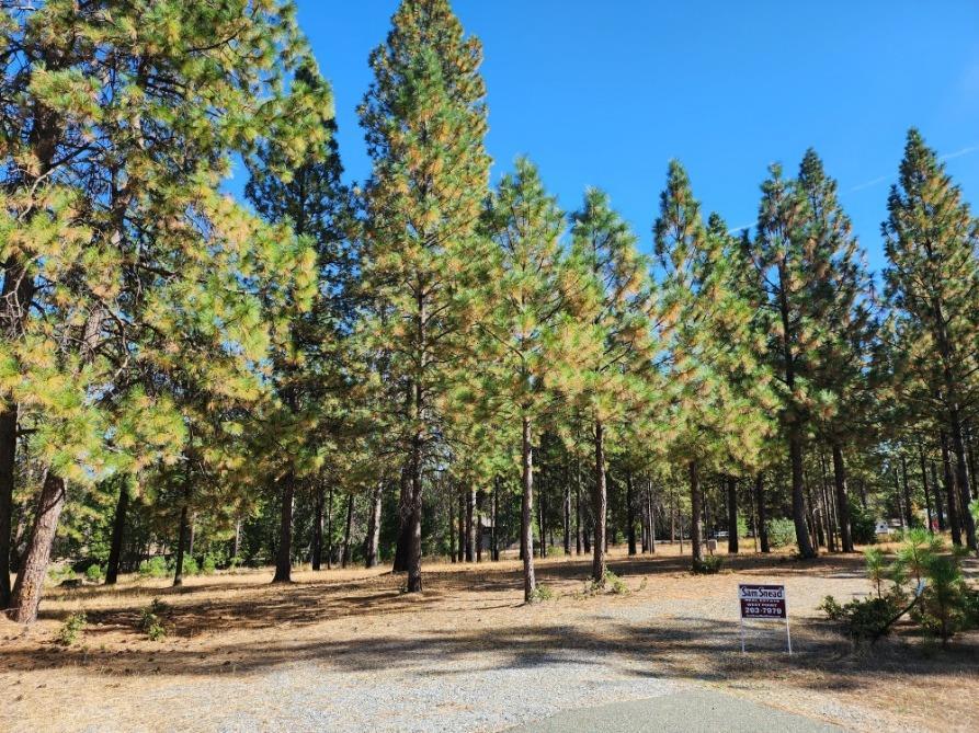 Photo of 0 0 Shawnee in Mountain Ranch, CA