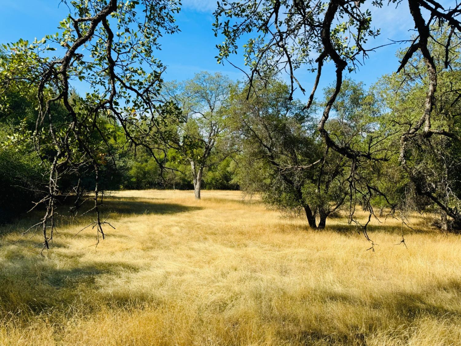 Photo of 2218 Butte Mountain Rd in Murphys, CA