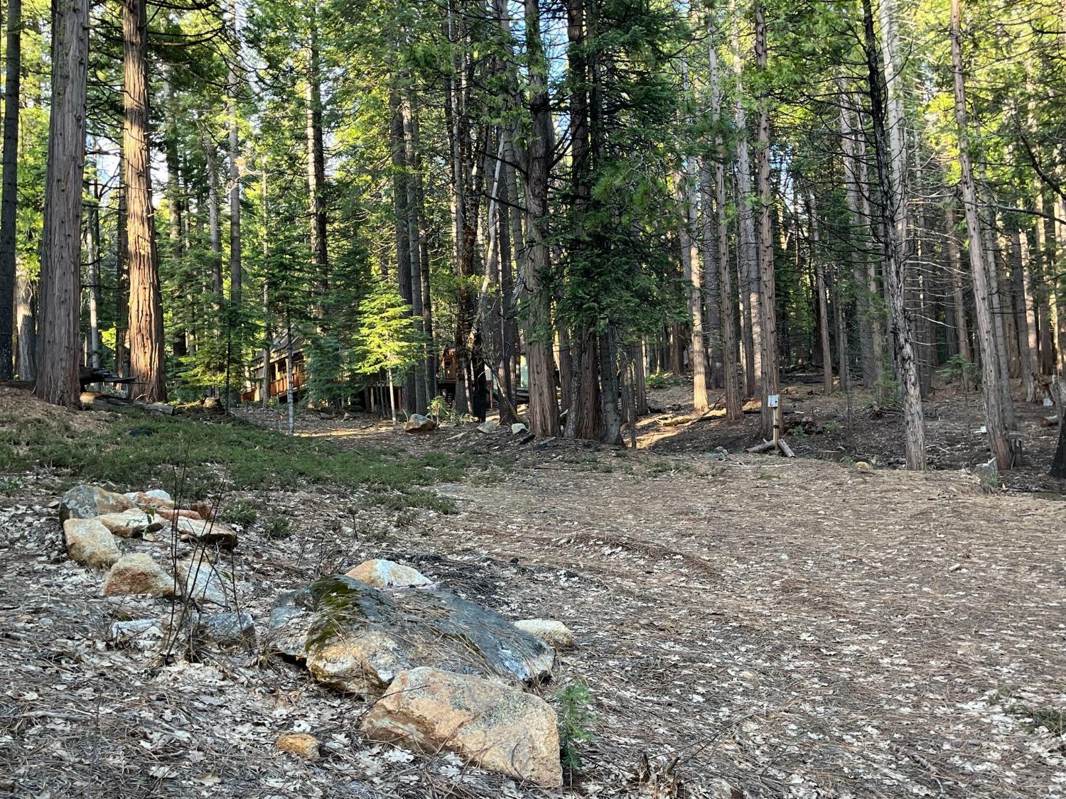 Photo of 2 Sierra Pky in Camp Connell, CA