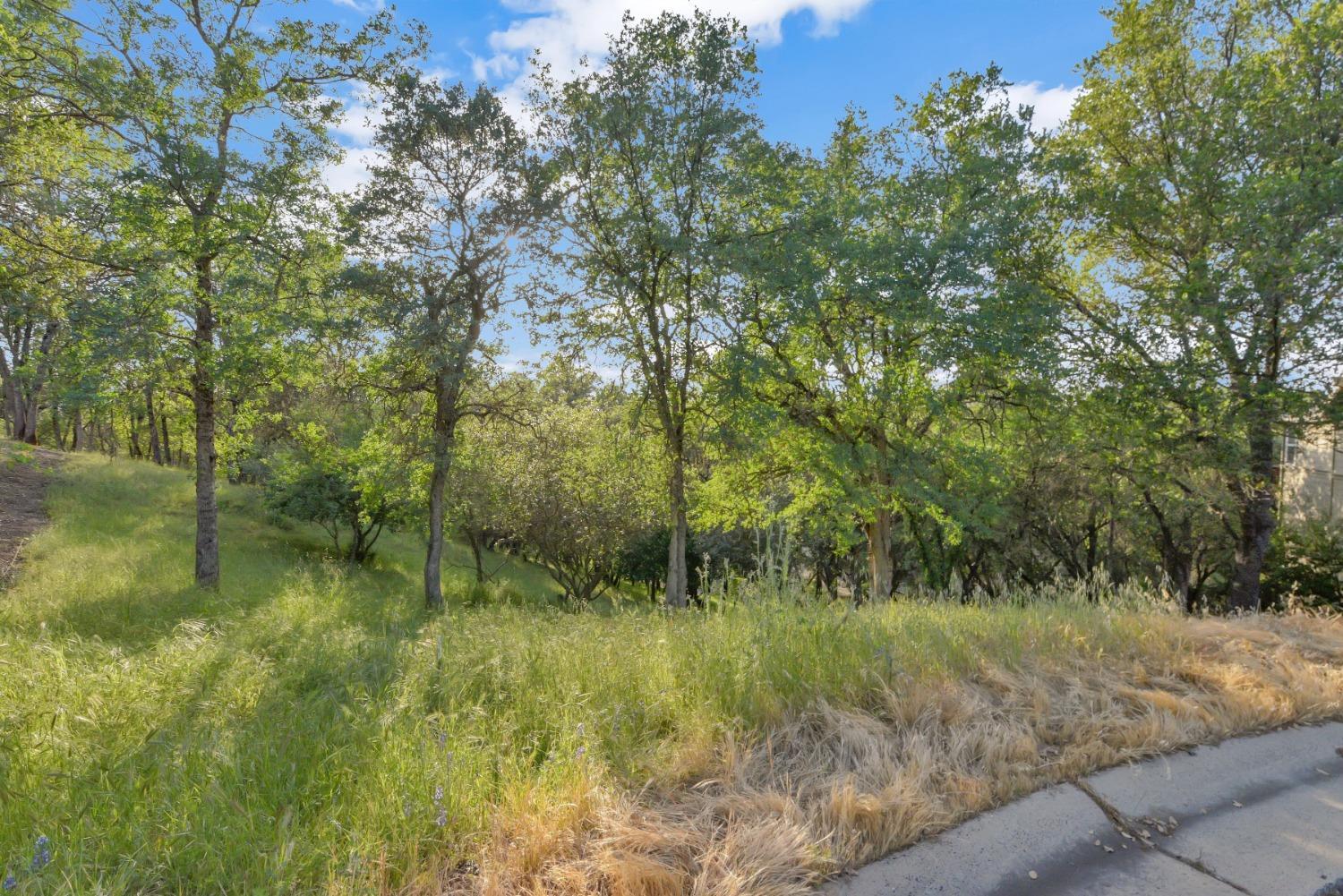 Photo of 416 Albasio Ct in Angels Camp, CA